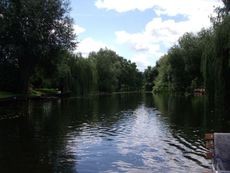 Spreewald-Luebben_32.jpg