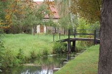 Spreewald_Lübbenau_07.jpg