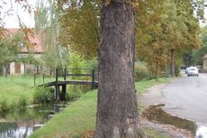 Spreewald_Lübbenau_08.jpg