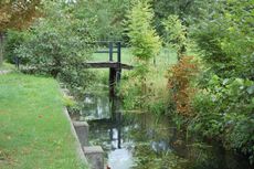 Spreewald_Lübbenau_14.jpg