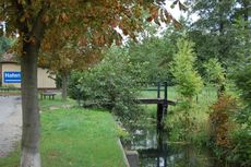 Spreewald_Lübbenau_15.jpg