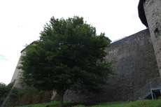 Burg_Greifenstein_30.JPG