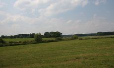 Münsterland-177.jpg