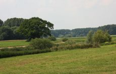 Münsterland-178.jpg