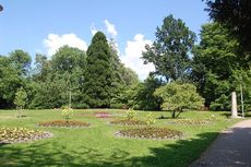 Stadtpark_1.jpg