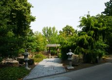 Japanischer-Garten_2520.jpg