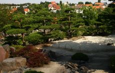 Japanischer-Garten_2523.jpg