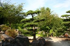 Japanischer-Garten_2524.jpg