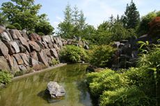 Japanischer-Garten_2528.jpg