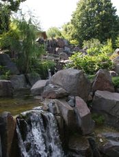 Japanischer-Garten_2530.jpg
