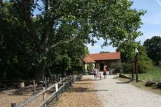 Kinderbauernhof_2564.jpg