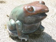 Frosch2.JPG