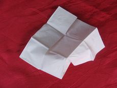 Papiertaschentuch.JPG