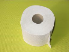 Toilettenpapier.JPG