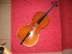 Violoncello.JPG