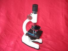 Mikroskop.JPG