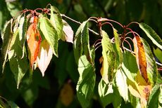 Herbststimmung-080.jpg