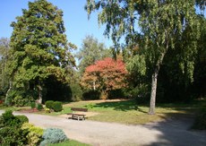 Herbststimmung-09-027.jpg
