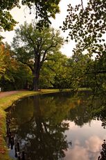 Herbststimmung-150.jpg