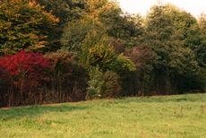 Herbststimmung-158.jpg