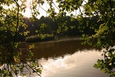 Herbststimmung-167.jpg