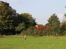 Herbststimmung-180.jpg