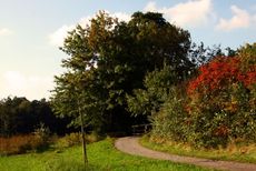 Herbststimmung-183.jpg