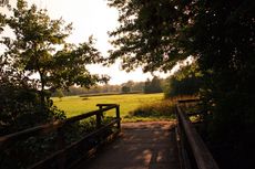 Herbststimmung-185.jpg