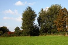 Herbststimmung-187.jpg