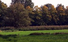 Herbststimmung-189.jpg