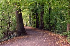 Herbststimmung-190.jpg