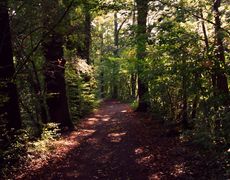 Herbststimmung-191.jpg