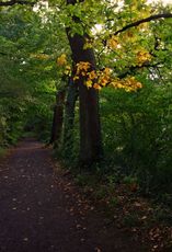 Herbststimmung-192.jpg