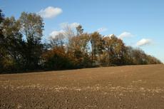 Herbststimmung-3-11-09-15.jpg