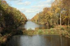 Herbststimmung-3-11-09-46.jpg