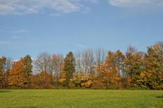Herbststimmung-3-11-09-81.jpg