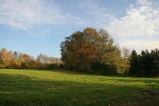 Herbststimmung-3-11-09-82.jpg