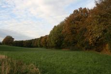 Herbststimmung-3-11-09-87.jpg