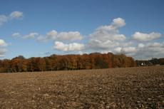 Herbststimmung-3-11-09-88.jpg