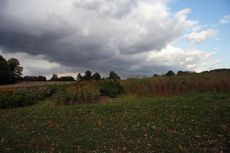 Herbststimmung_5885.JPG