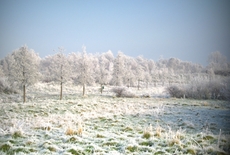 Winter-10.jpg