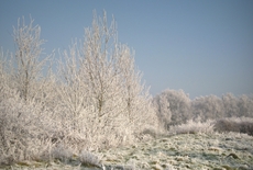 Winter-19.jpg