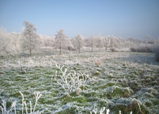 Winter-9.jpg