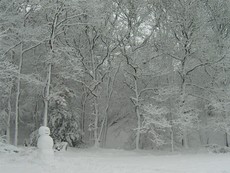 Winter_06.jpg