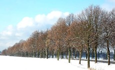 Winter_08.jpg