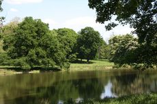 Teich-Sommer-023.jpg