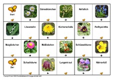 Fruhbluher In Der Grundschule Domino Fruhlingsblumen Fruhling Jahreszeiten Hus Klasse 2 Grundschulmaterial De