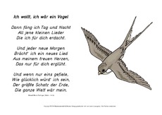Vom Vogel AngeschiГџen Bedeutung Vom Vogel AngeschiГџen Bedeutung
