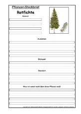 Baum In Der Grundschule Pflanzensteckbriefe Vorlagen Fruhling Jahreszeiten Hus Klasse 3 Grundschulmaterial De