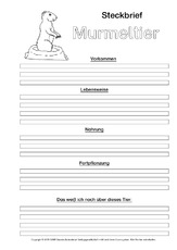 Murmeltier in der Grundschule - Grundschulmaterial.de